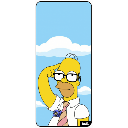 Los Simpson Homero Pitágoras