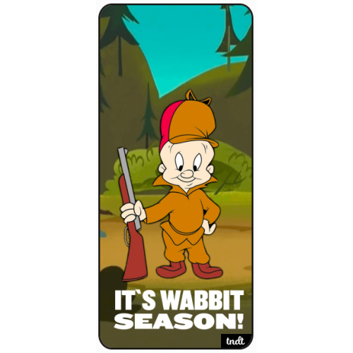 Retro Looney Tunes Its Wabbit Season