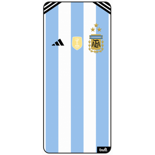 AFA Argentina Campeón del Mundo
