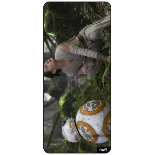 Star Wars Rey & BB-8 bosque